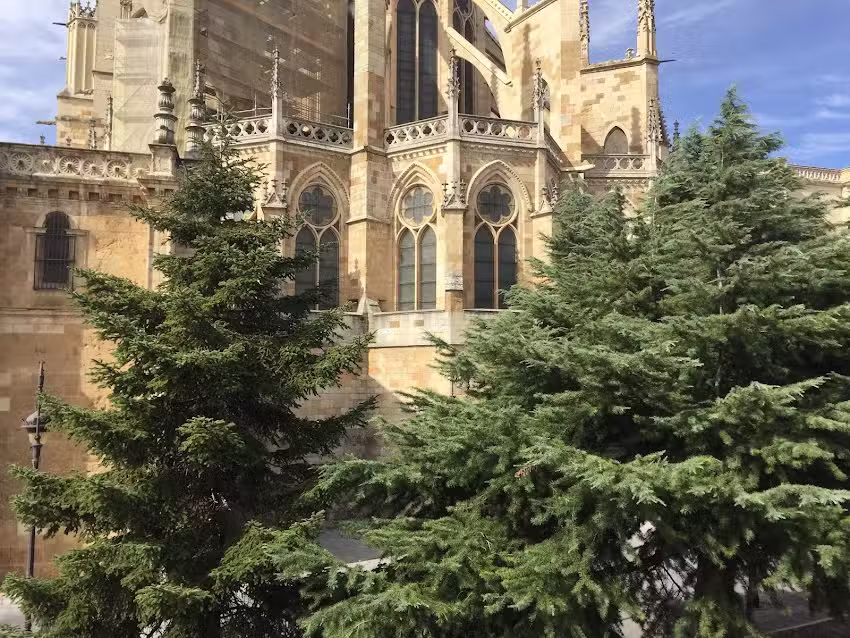 Suites La Catedral