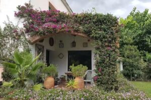 Sunrent Barcelona &ndash; Cortijo