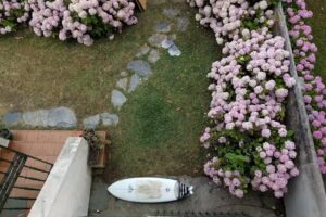 Surfhouse Salinas Hostal