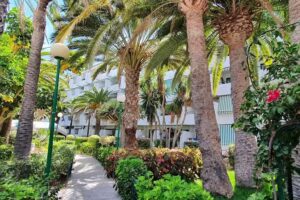 Surycan &ndash; VV Em&Er