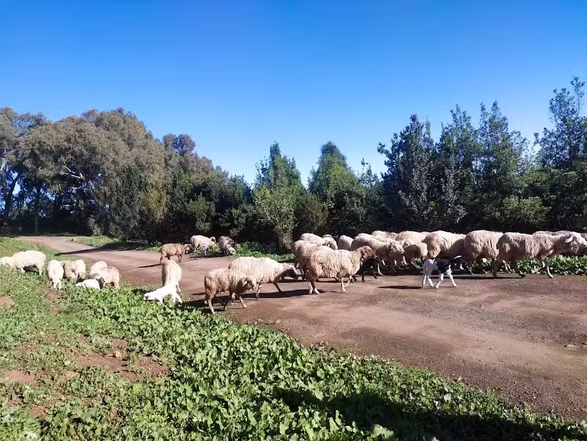 Teror &ndash; Osorios Vivienda Vacacional