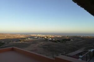 The Black Horse Canarias