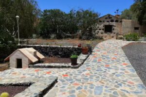 The Camels&acute;Path