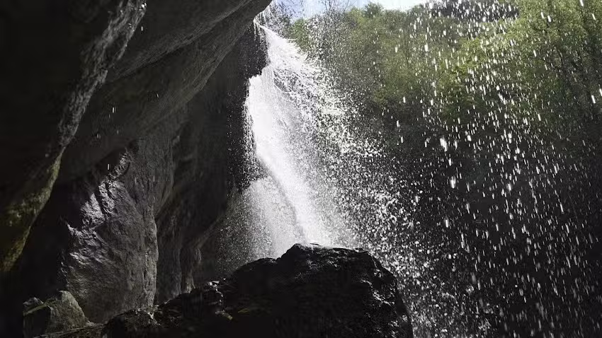 The Horseman of Vidr&agrave;