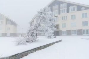 The Nest Sierra Nevada