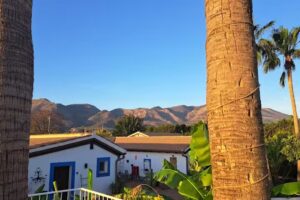 The Palms Boutique Resort