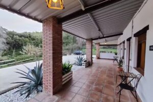 The Wild Olive Andalucia