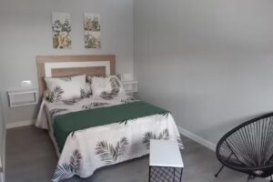 Toler&iacute;a Apartamentos