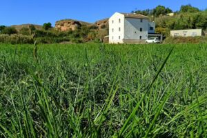 Torre de La Malvasía