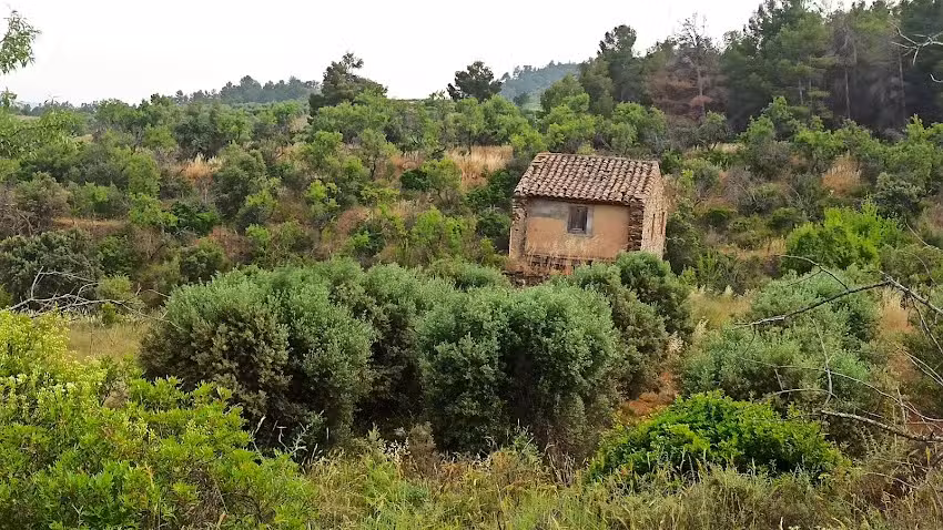 Torroja Del Priorat