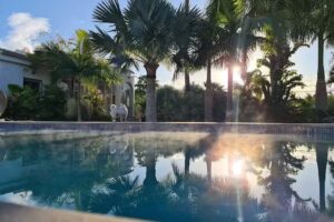 Tropical Paradise Villa