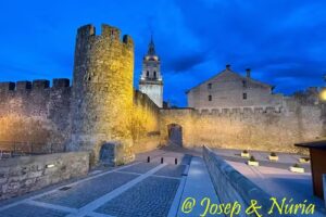 Turismo Burgo de Osma Gu&iacute;as Nacionales