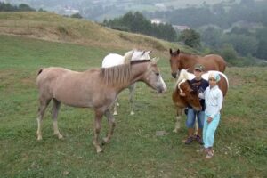 Turismo Rural Gure Naia