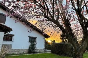 Txorienea, vivienda turística