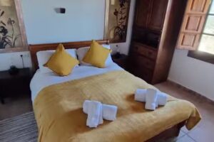 Unique Village House