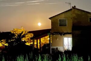 URBANIZACI&Oacute;N LAS LOMAS DEL REY