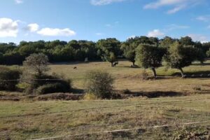 Valle de Juarros Casa rural apartamento tur&iacute;stico