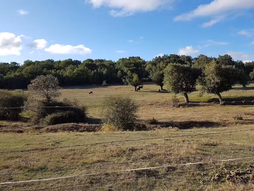 Valle de Juarros Casa rural apartamento tur&iacute;stico