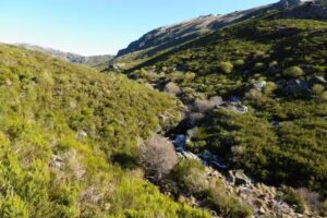 Velilla Cabaña San Felipe