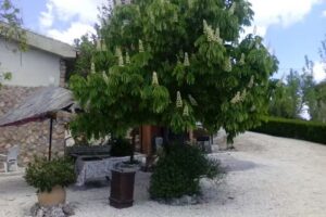 Villa encanto de sue&ntilde;os