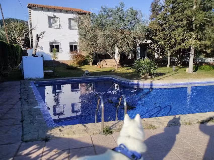 Villa Marialuisa
