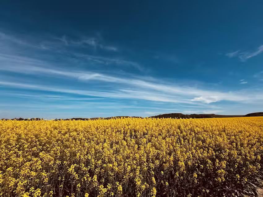 Villamanrique de Tajo