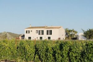 Vino Resort Son Amaret