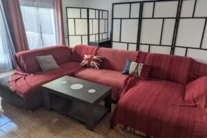 Vivienda compartida con ambiente familiar