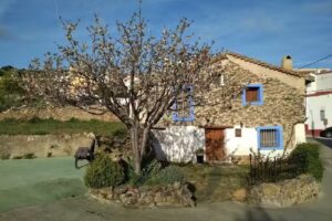Vivienda Turismo Rural Casa Larrueda
