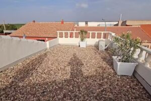 Vivienda Tur&iacute;stica El Pimpollo