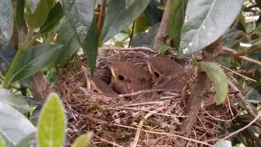 VIVIENDA VACACIONAL CASABLANCO