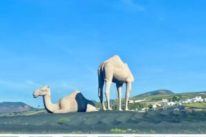 Volcano View- Casa Oliver