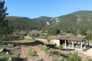 Zona acampada J&oacute;rgola