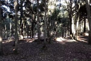 Zona De Acampada De La Tahona